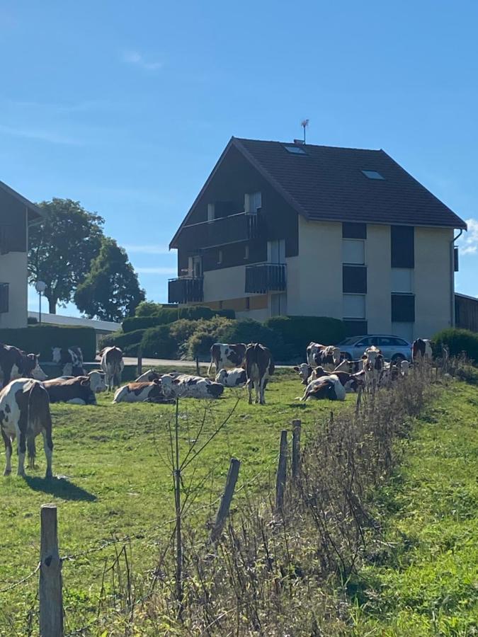 Chez Jeremy - Appartement De Edmond Les Villedieu (Doubs) Экстерьер фото